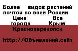 Более200 видов растений почтой по всей России › Цена ­ 100-500 - Все города  »    . Крым,Красноперекопск